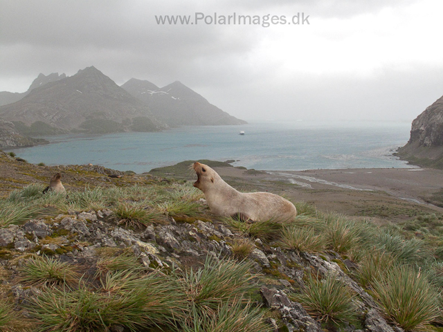 Rosita Harbour IMG_0875