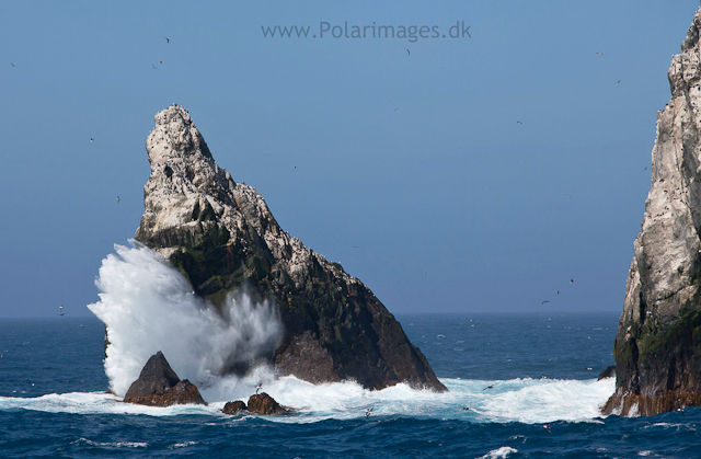 Shag Rocks_MG_2751