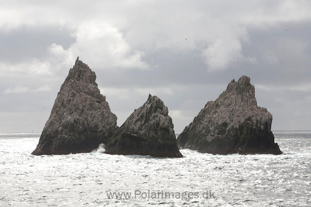 Shag Rocks_MG_3157