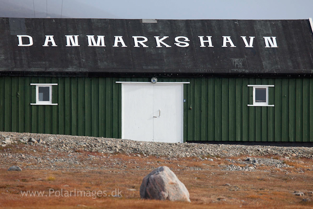 Danish station Danmarkhavn, NE Greenland_MG_0743