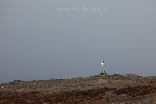 Memorial to the Denmark Expedition, Danmarkhavn, NE Greenland_MG_0728
