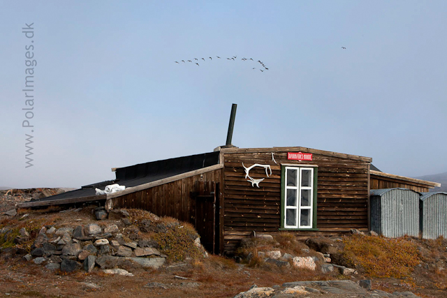 The Denmark Expeditions hut The Villa, NE Greenland_MG_0764