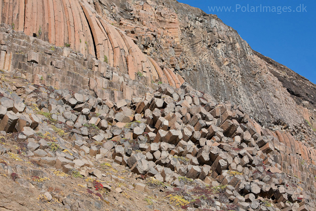 Columnar basalt, Vikingebugt, Scoresbysund_MG_7368