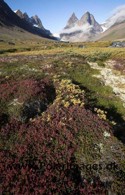 Dronning Marie Dal, Skjoldungen, SE Greenland_MG_5294