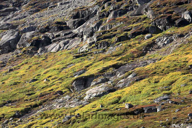 Dronning Marie Dal, Skjoldungen, SE Greenland_MG_5323