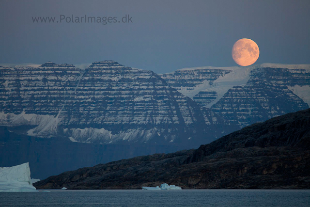 Moonrise, Føhnfjord, Scoresbysund_MG_1155