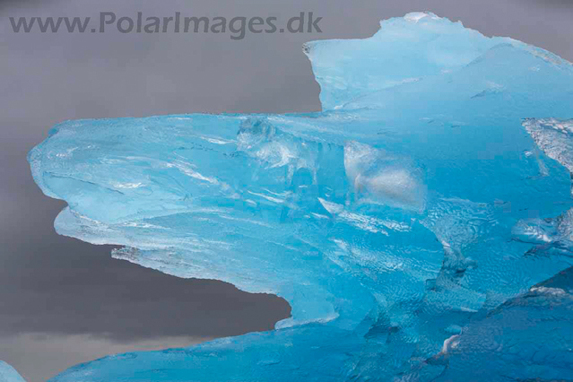 Napassorsuarq Fjord, SE Greenland_MG_4774