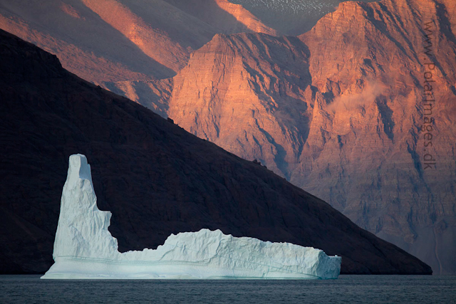 Narhvalsund, NE Greenland_MG_1110