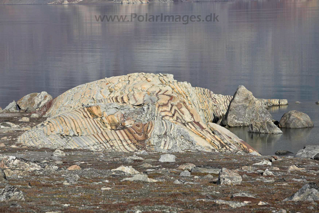 Segelsällskapet Fjord, NE Greenland_MG_3991