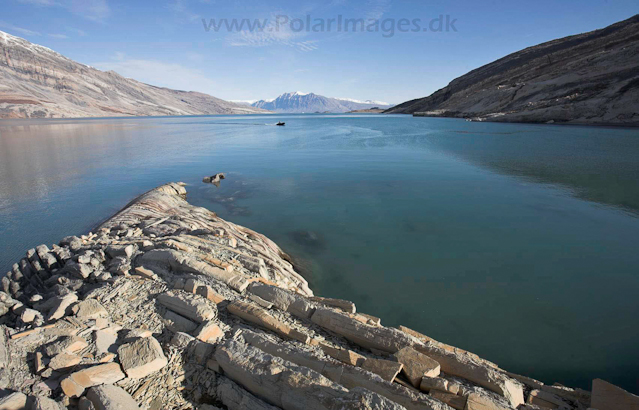 Segelsällskapet Fjord, NE Greenland_MG_4036