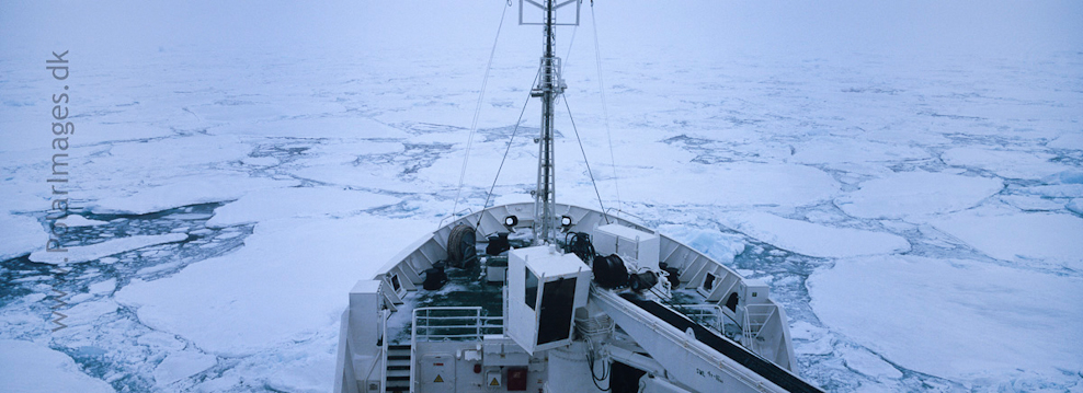 East Greenland pack ice