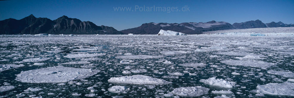 Nansen Fjord (1)