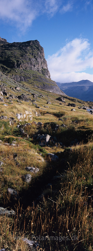 Norse ruins at Herjolfsnes, SW Greenland (1)