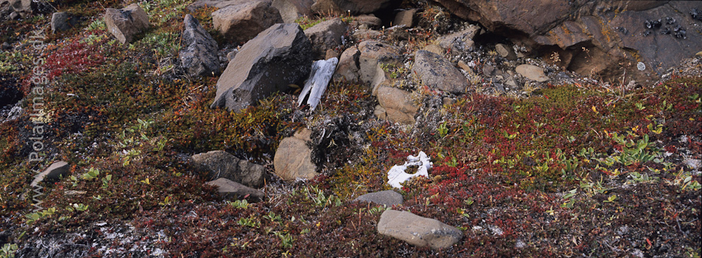 Thule culture grave, Steward Ø