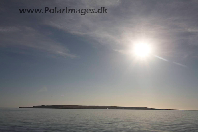 Grimsey_N_Iceland_MG_2907