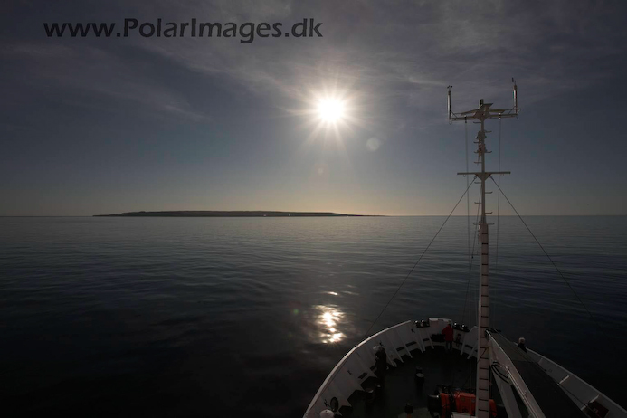 Grimsey_N_Iceland_MG_2908