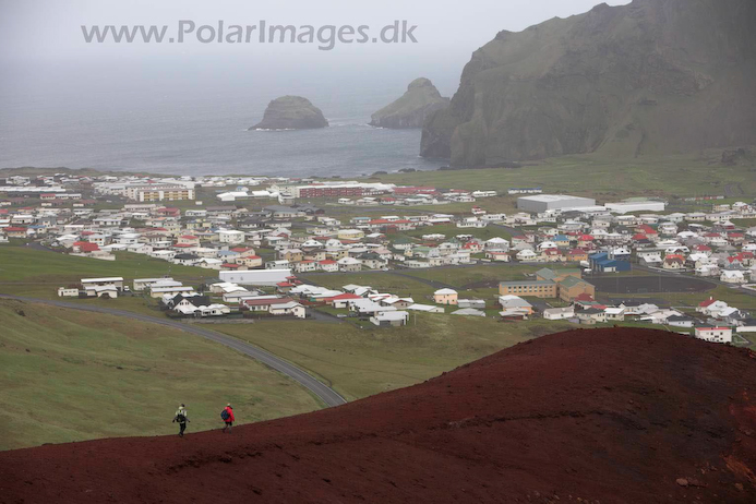 Heimaey_S_Iceland_MG_2816