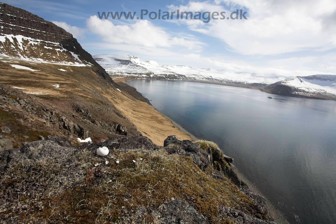 Hornvik_N_Iceland_MG_2540