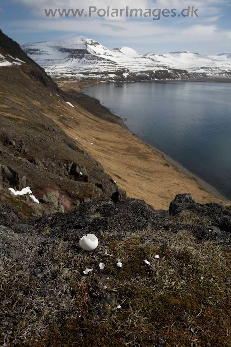 Hornvik_N_Iceland_MG_2541