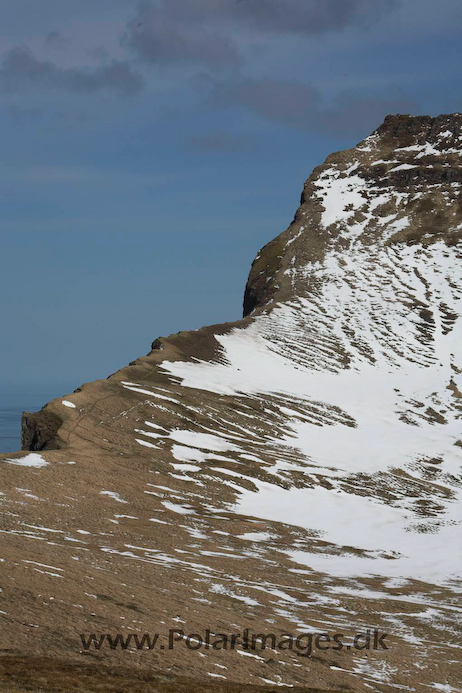 Hornvik_N_Iceland_MG_2554