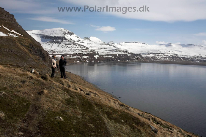 Hornvik_N_Iceland_MG_2593