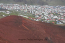 Heimaey_S_Iceland_MG_2808