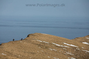 Hornvik_N_Iceland_MG_2552