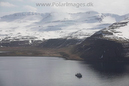 Hornvik_N_Iceland_MG_2557