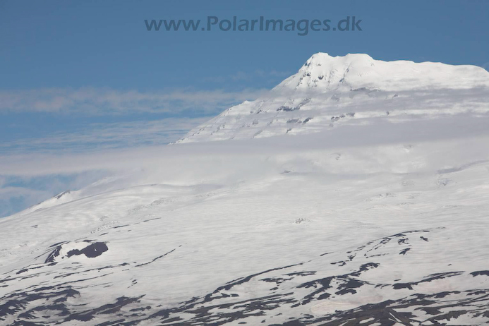 Beerenberg_from_W_Jan_Mayen_MG_3457