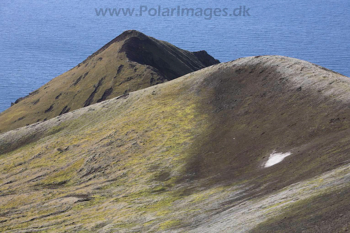 Jan_Mayen_MG_3526