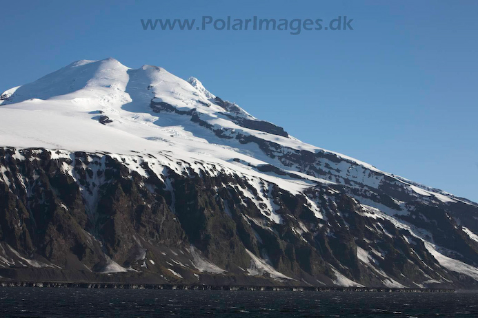 Kokssletta_Jan_Mayen_MG_3585