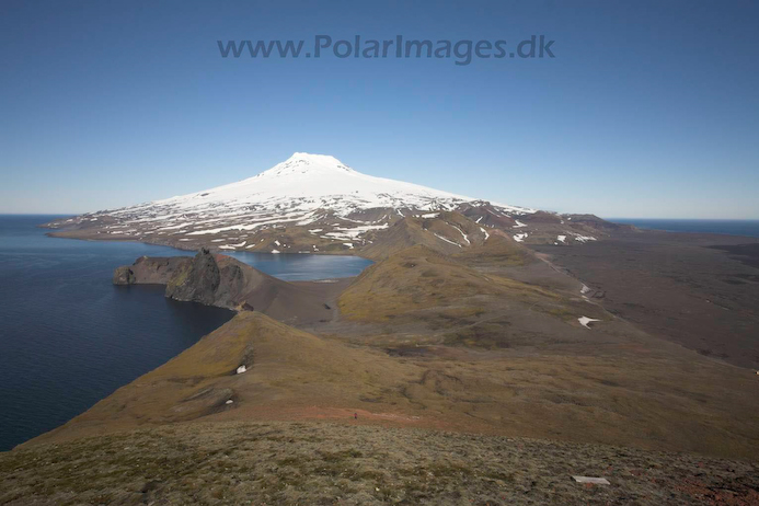 View_over_northern_Jan_Mayen_MG_3510