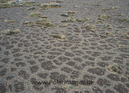 Cryoturbation_87720917