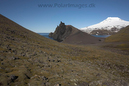 Maria_Musch_Bukta_Jan_Mayen_MG_3482