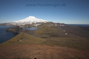 Maria_Musch_Bukta_Jan_Mayen_MG_3500