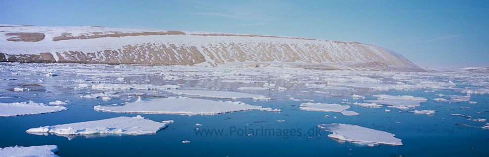 Palanderbukta (1)