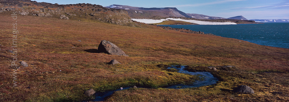 Sundneset, Barentsøya (1)