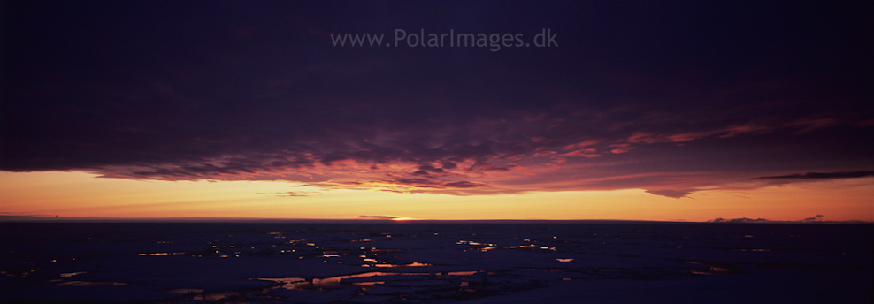 Sunset in the pack ice, Olga Strait