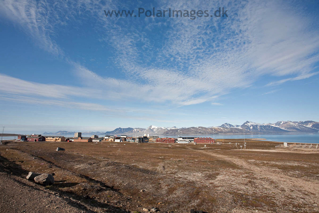 Ny Ålesund, Kongsfjord_MG_6877