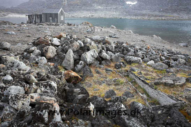 Sallyhamna, NW Spitsbergen_MG_4112