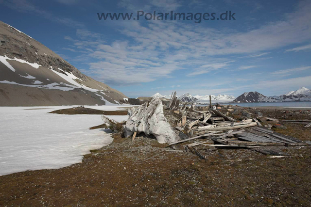Gåshamna, Hornsund, Svalbard_MG_3720