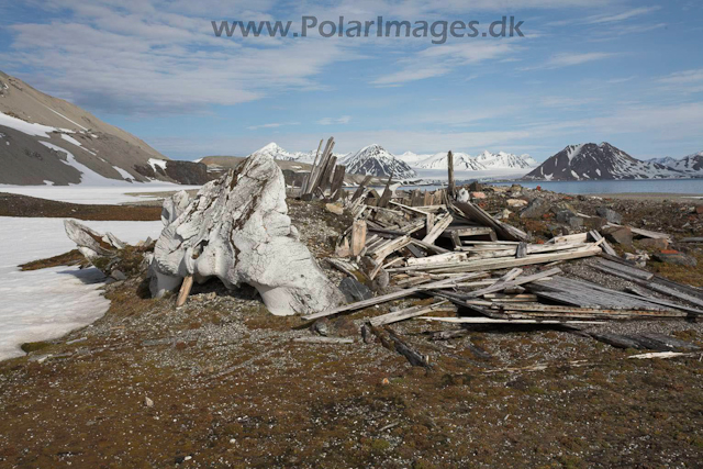 Gåshamna, Hornsund, Svalbard_MG_3721