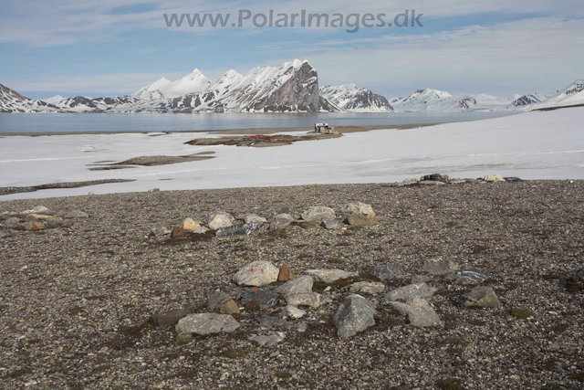 Gåshamna, Hornsund, Svalbard_MG_3745