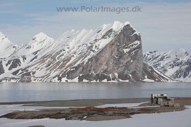 Gåshamna, Hornsund, Svalbard_MG_3747