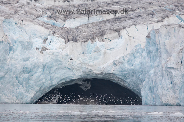 Hornbreen, Hornsund_MG_7608