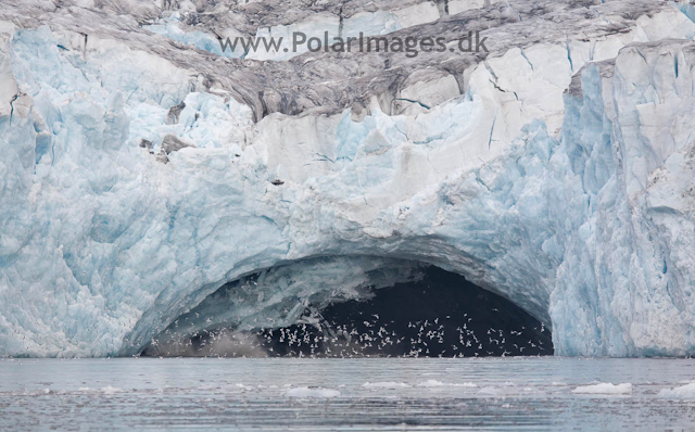 Hornbreen, Hornsund_MG_7610