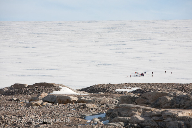 Kvitøya_MG_6577