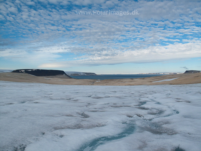 Palanderbukta, NordaustlandetIMG_1455