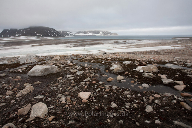 Phippsøya, Seven Islands_MG_5748