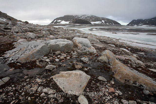 Phippsøya, Seven Islands_MG_5752